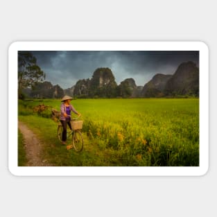 Vietnam rural scene near Tam Coc Sticker